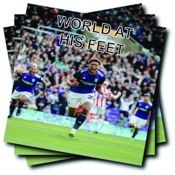 Birmingham City World at his feet