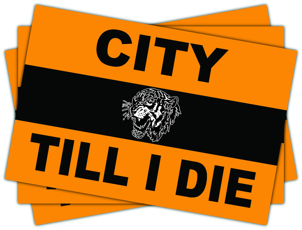 Hull City Till I Die
