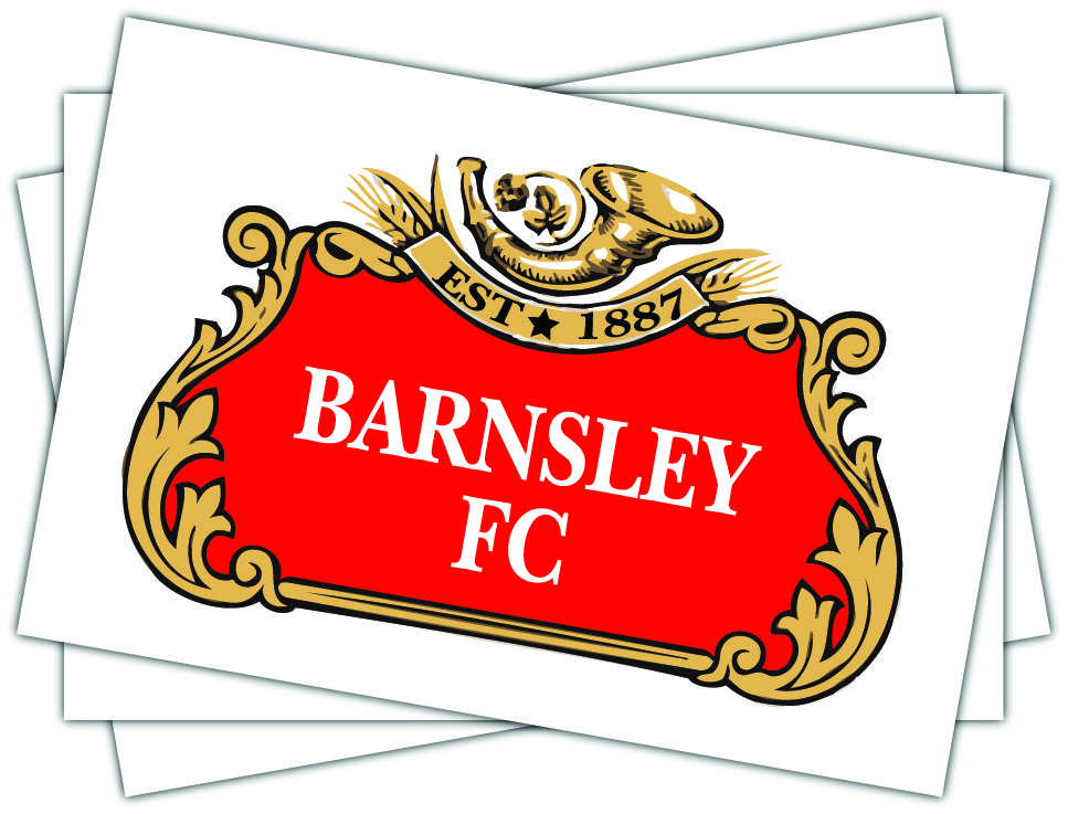 Barnsley FC Stella Artois