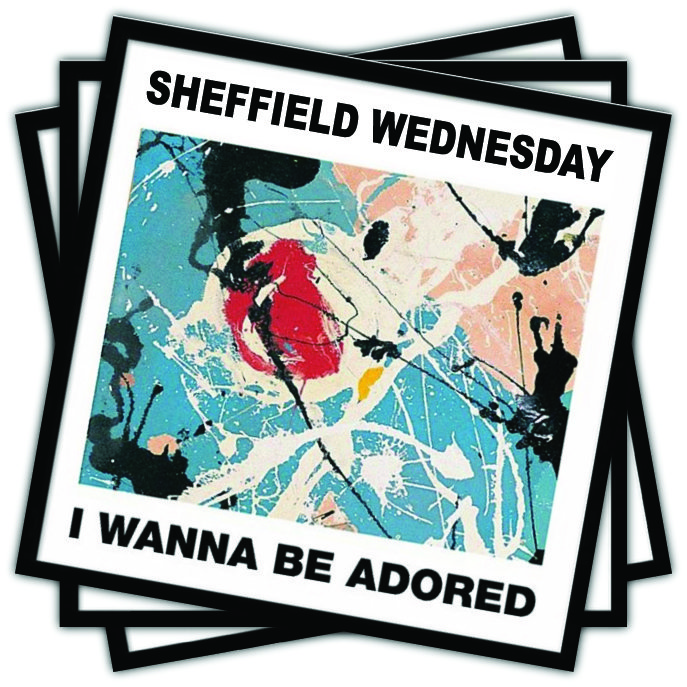 Sheffield Wednesday Wanna Be Adored