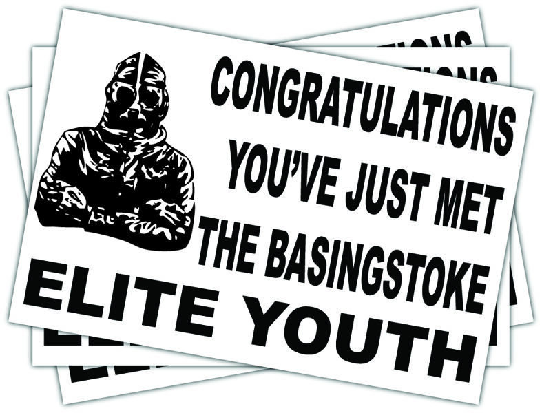 Basingstoke Town Elite Youth